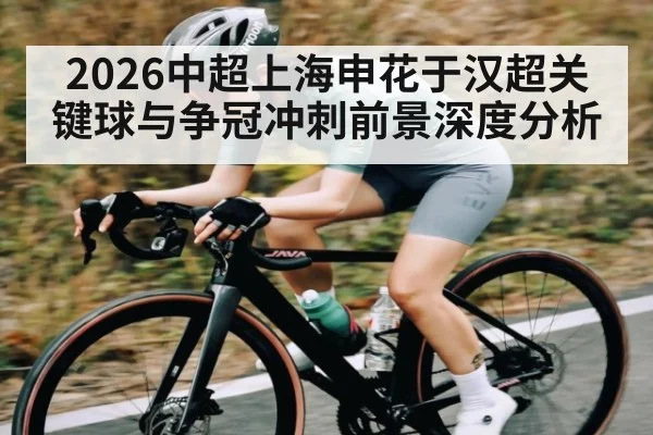 2026中超上海申花于汉超关键球与争冠冲刺前景深度分析